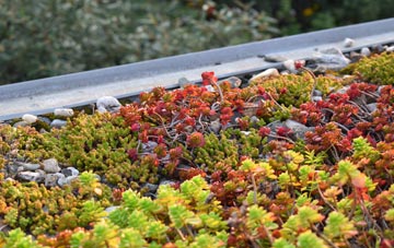 the cost of Craig Llwyn green roof installation