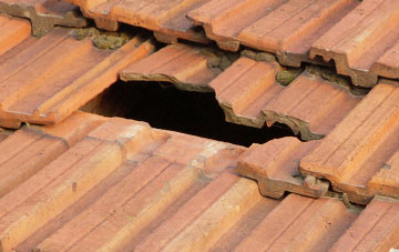 roof repair Craig Llwyn, Shropshire